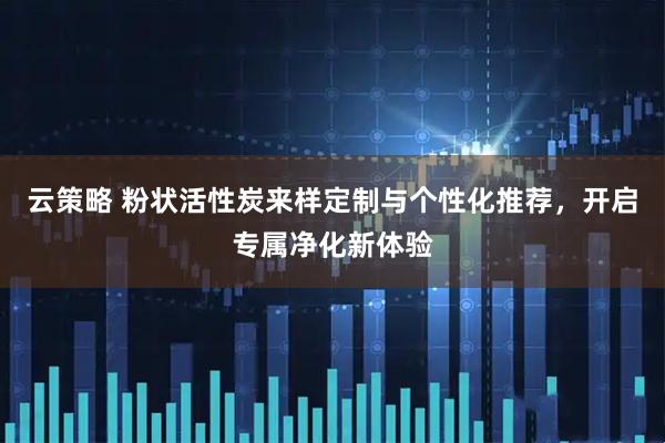 云策略 粉状活性炭来样定制与个性化推荐,开启专属净化新体验