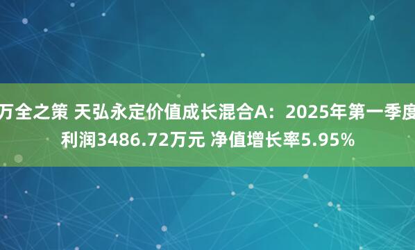 万全之策 天弘永定价值成长混合A：2025年第一季度利润3486.72万元 净值增长率5.95%