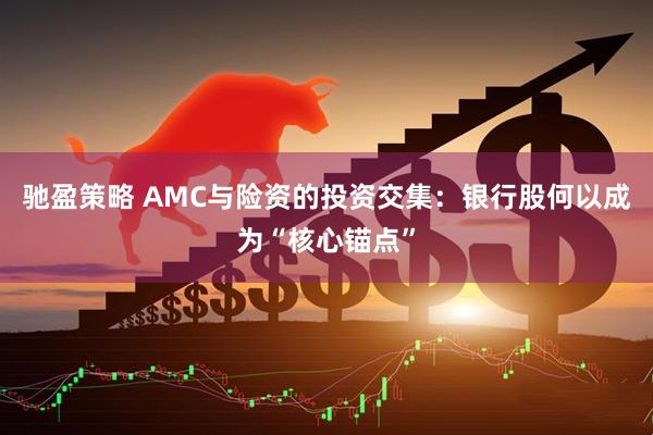 驰盈策略 AMC与险资的投资交集:银行股何以成为“核心锚点”